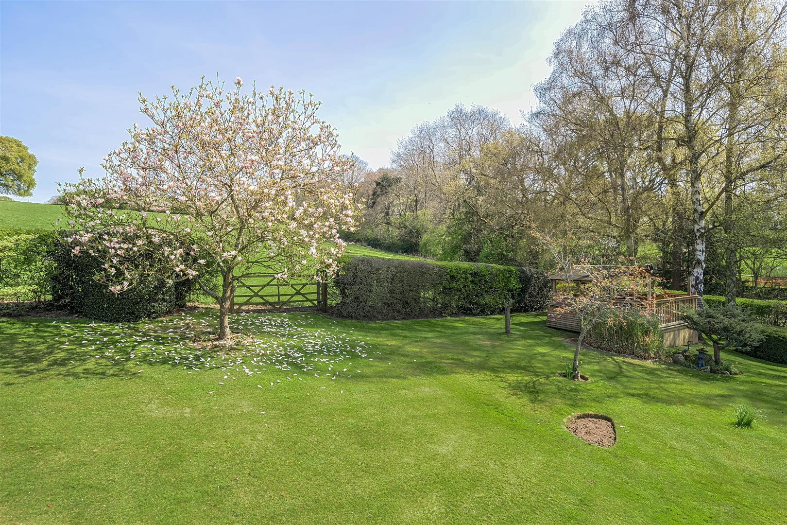 Property Image 0b3a0989-15b8-428d-89c5-713de5c34cc4