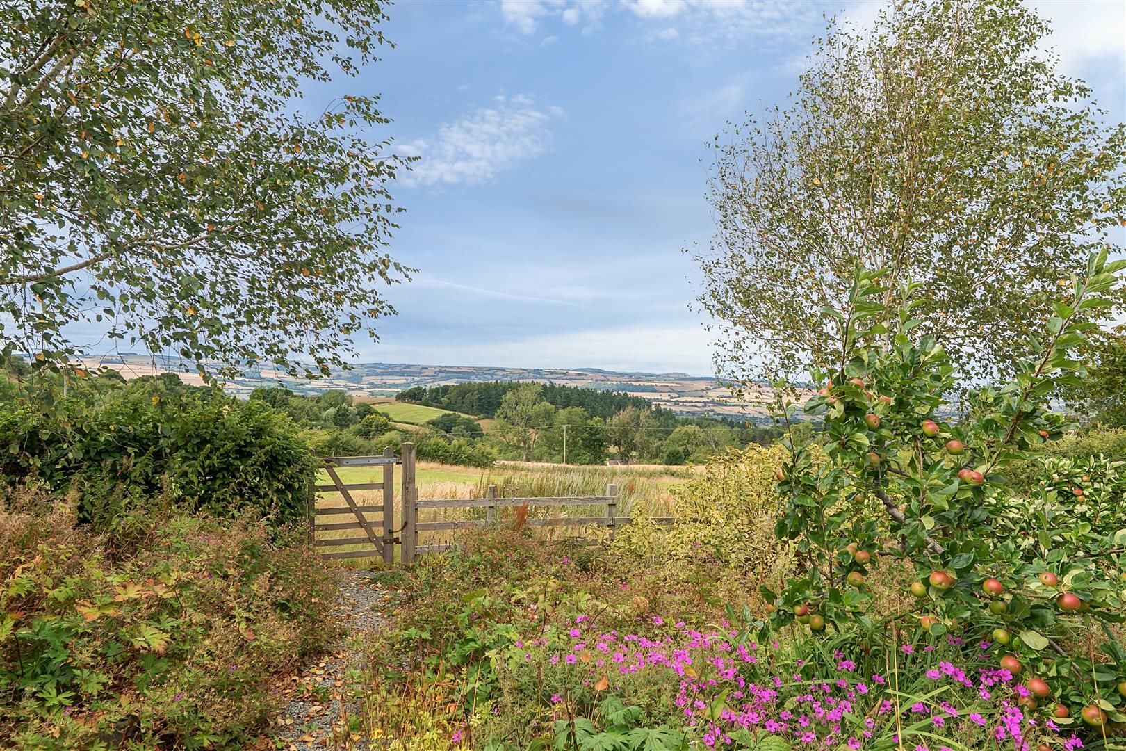 Property Image 0b69bc11-09ff-4f35-a599-171bbf960eb4