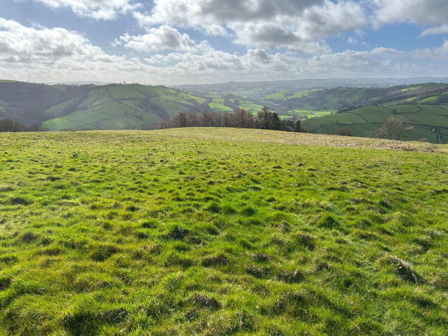 Property Image 0b8de3ae-b440-4258-8a47-381c305d35f7