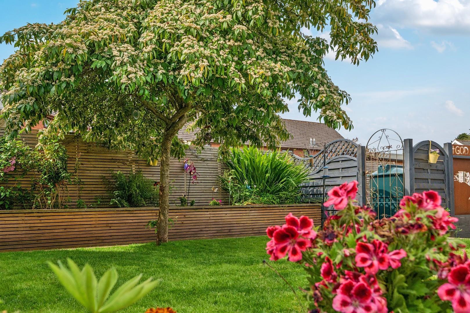 Property Image 0c3a3b72-e72c-4e9c-b91e-59e2ae983edf