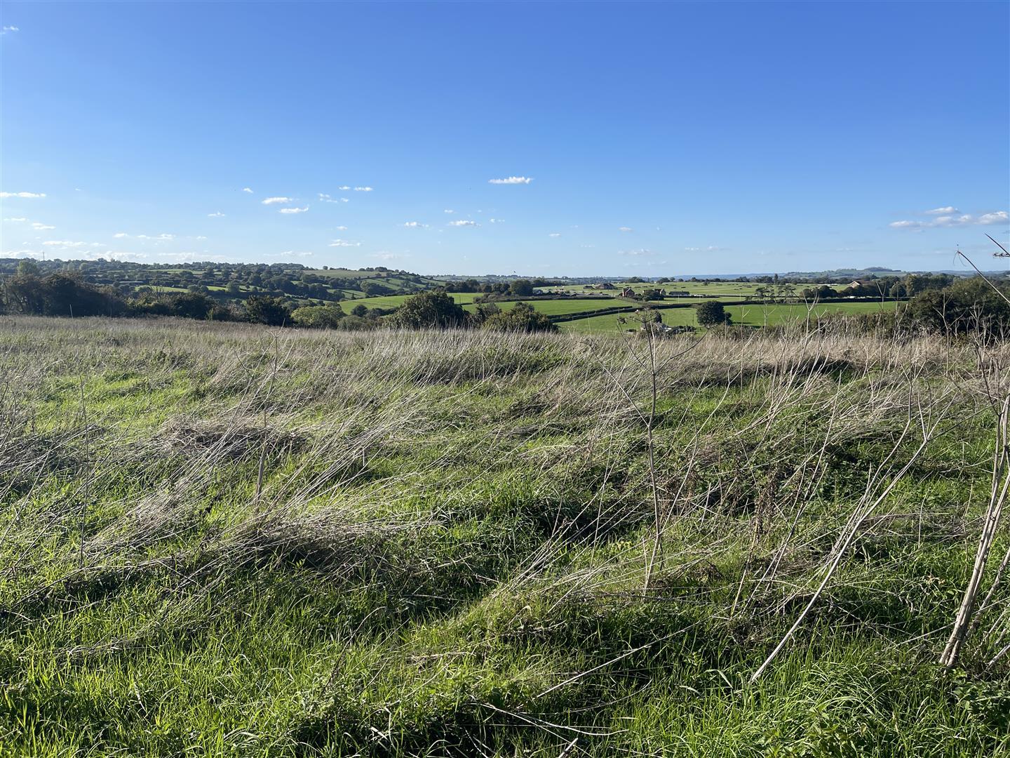 Property Image 0c6392f0-36eb-4e38-8702-04e61ac8d125