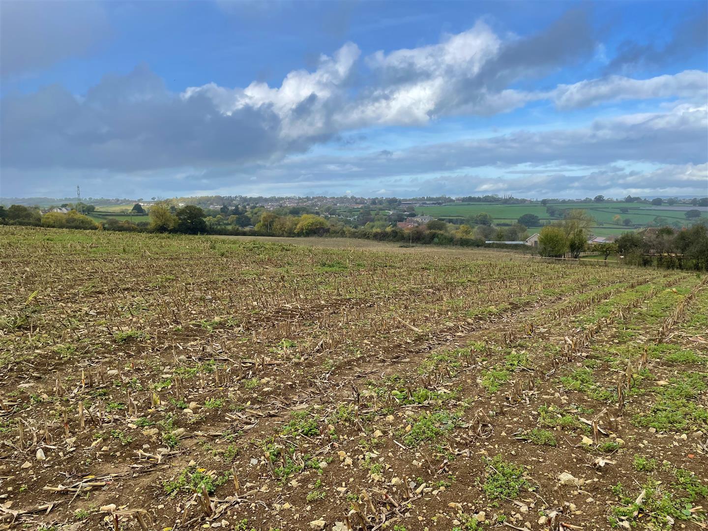 Property Image 0c723933-44a6-429e-8b10-042b1132f686
