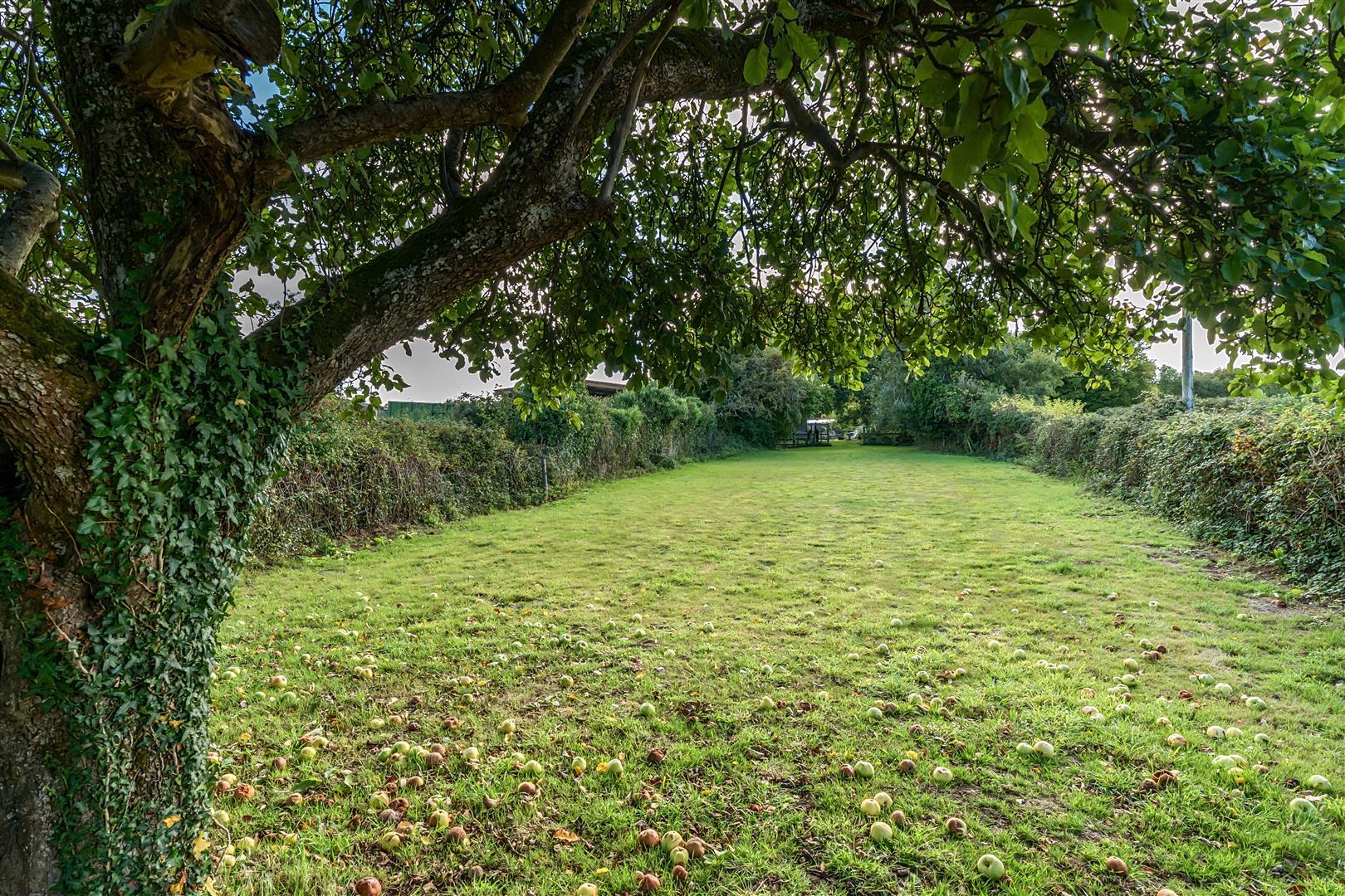 Property Image 0ce1943d-d934-4e56-af6a-b6788f70a878