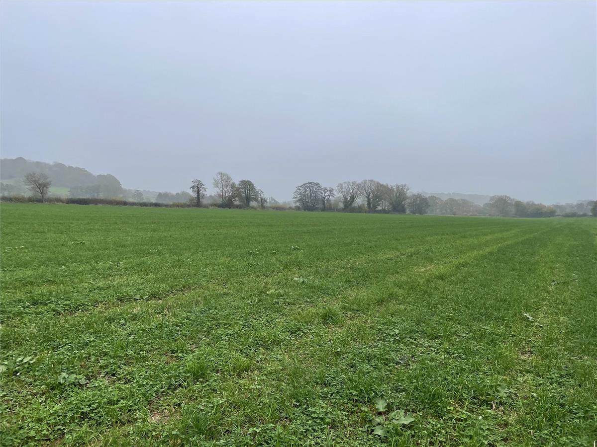 Property Image 0d0cecf6-e1a6-4196-8bc6-1bad8cf15998