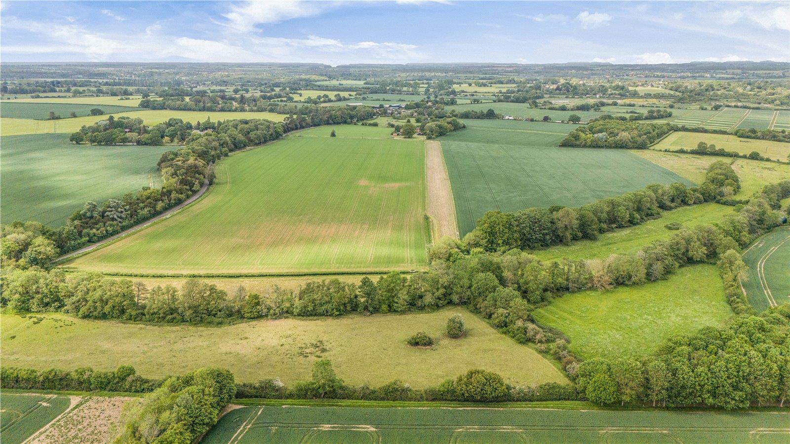 Property Image 0d25bfc5-d21a-491c-bb76-86fdf2eb1796