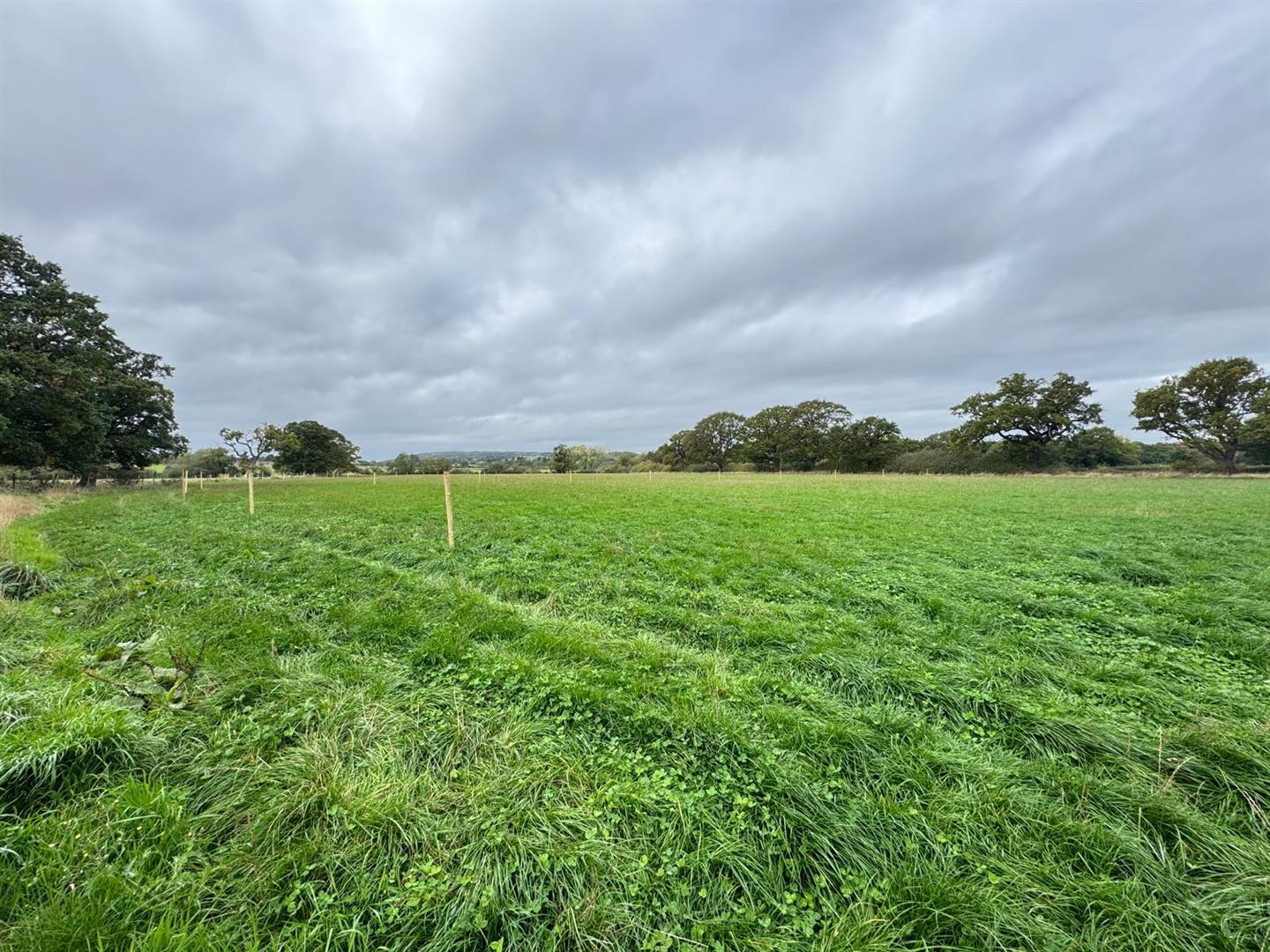 Property Image 0d402940-934c-4801-959c-34aba6aa3da2
