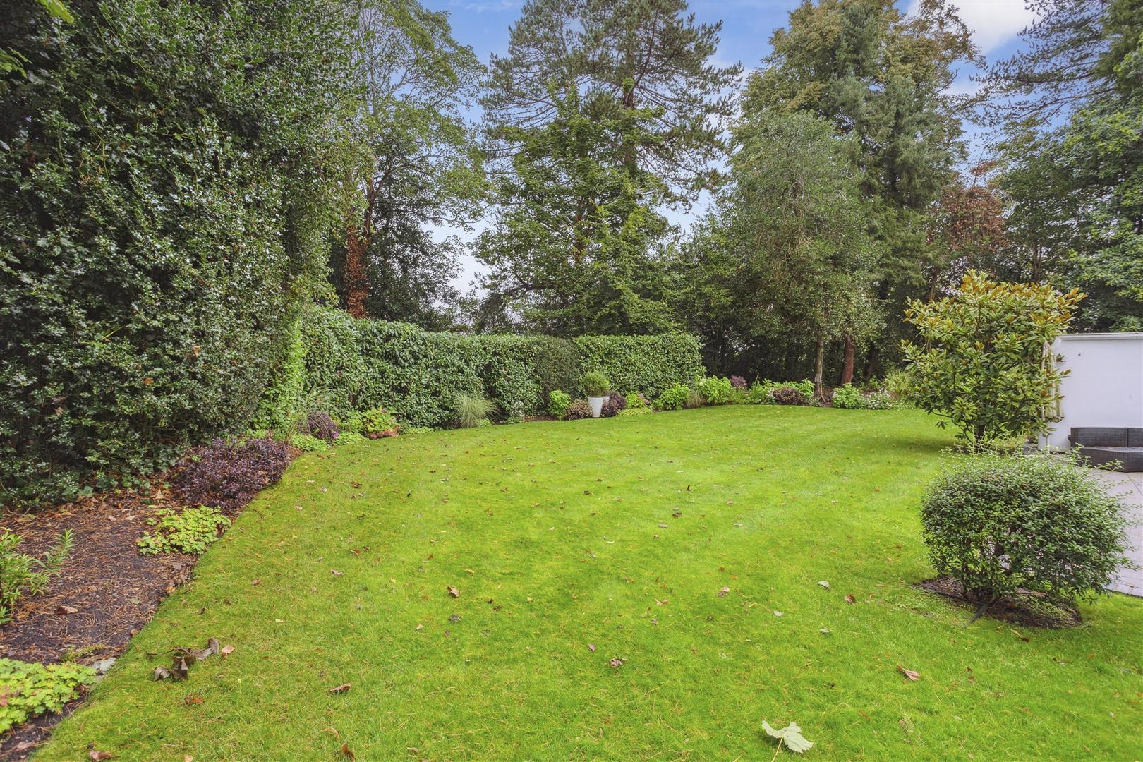 Property Image 0d5259d7-1c01-447c-bc5f-1b900bb152d0