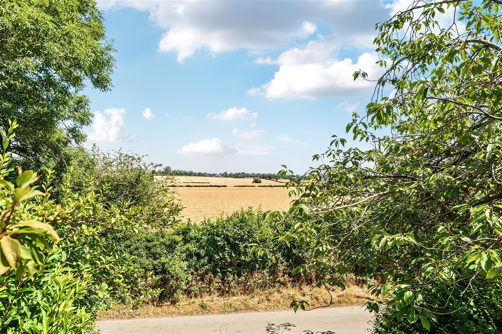 Property Image 0d965716-8b6b-4772-98c6-a428b34d156f