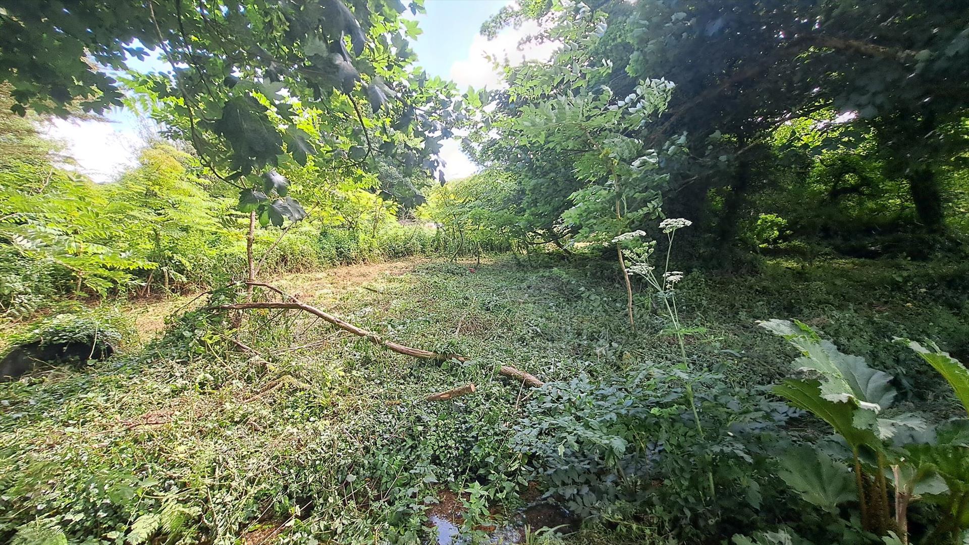 Property Image 0e880bd5-5ada-459d-b850-bf913d44643c
