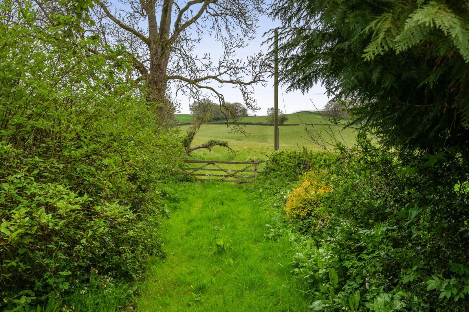 Property Image 0e908a71-b478-4dba-a043-6b857e6ea1bf