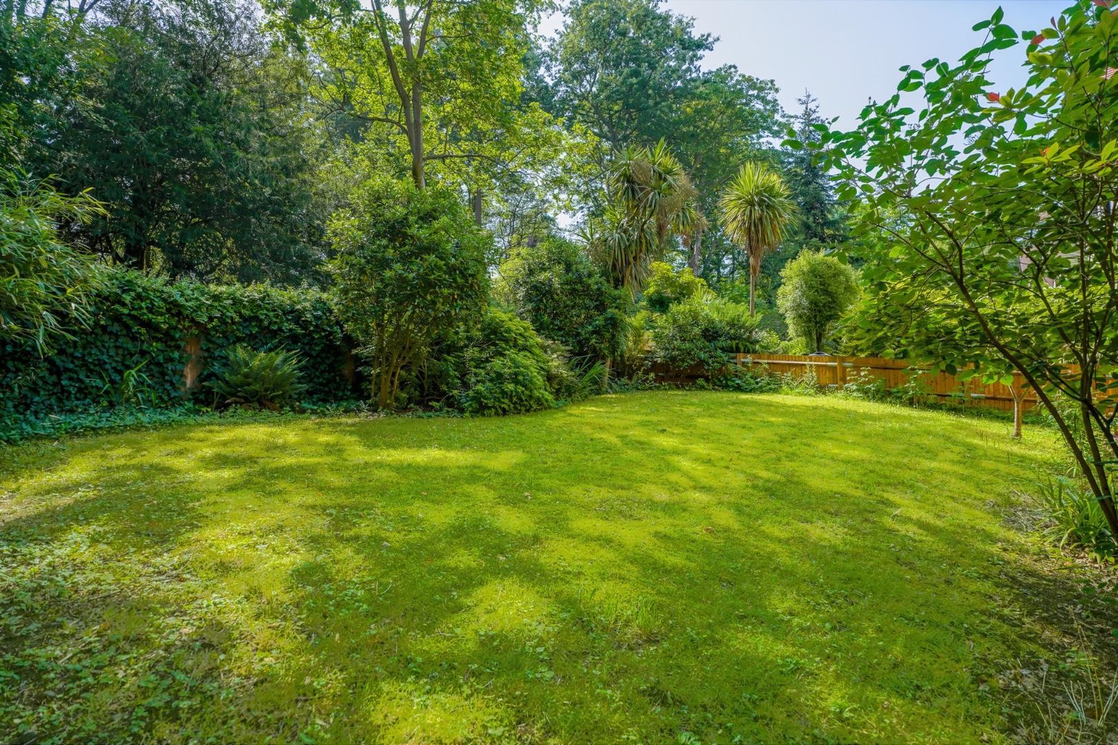 Property Image 0ed0cde6-f0b0-4e6e-9511-4aaa9d42a697