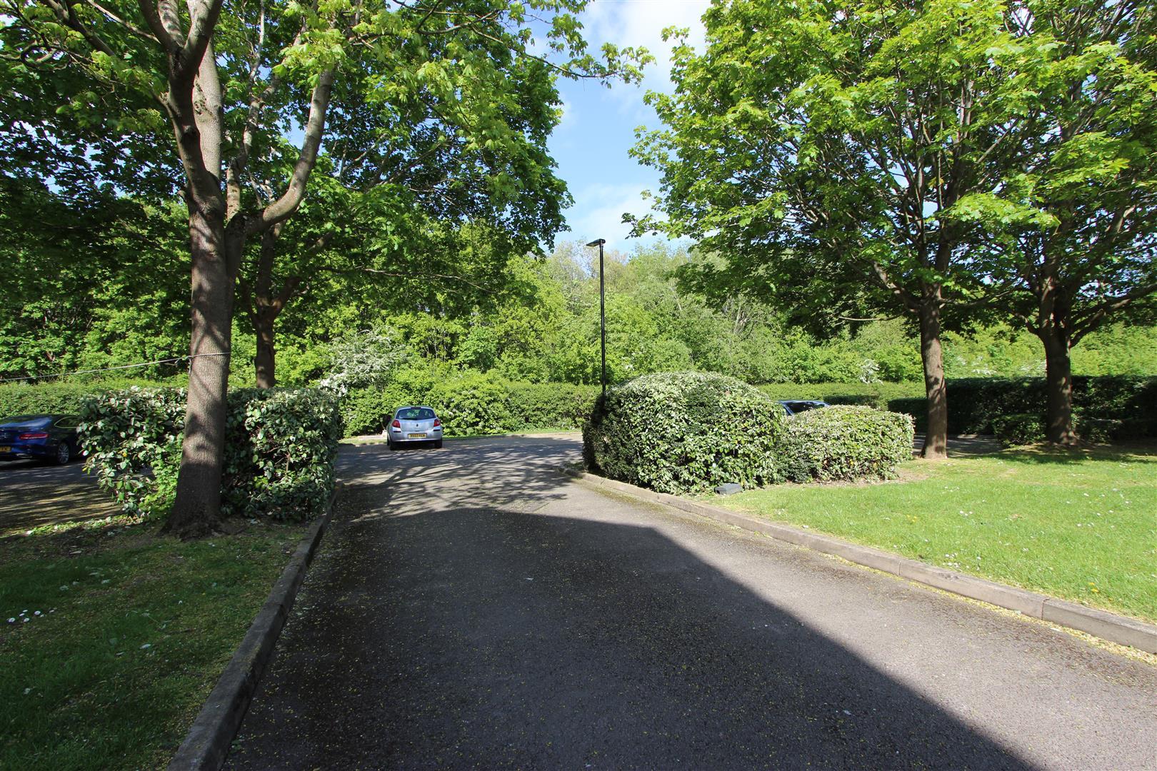 Property Image 0ee1ef08-cc60-403e-8d46-44ae88812477
