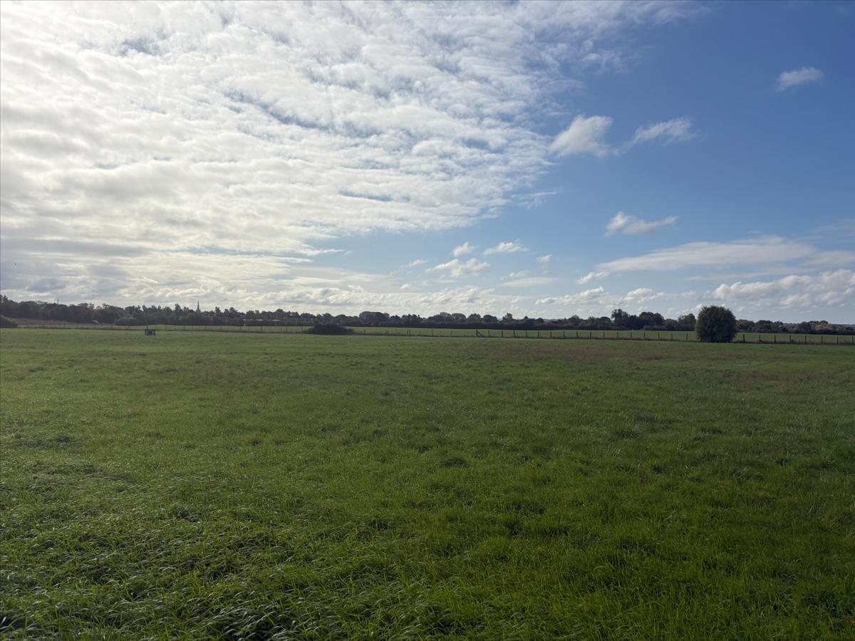 Property Image 0eeb8889-4a00-4a8d-9afa-75ae800d5be5