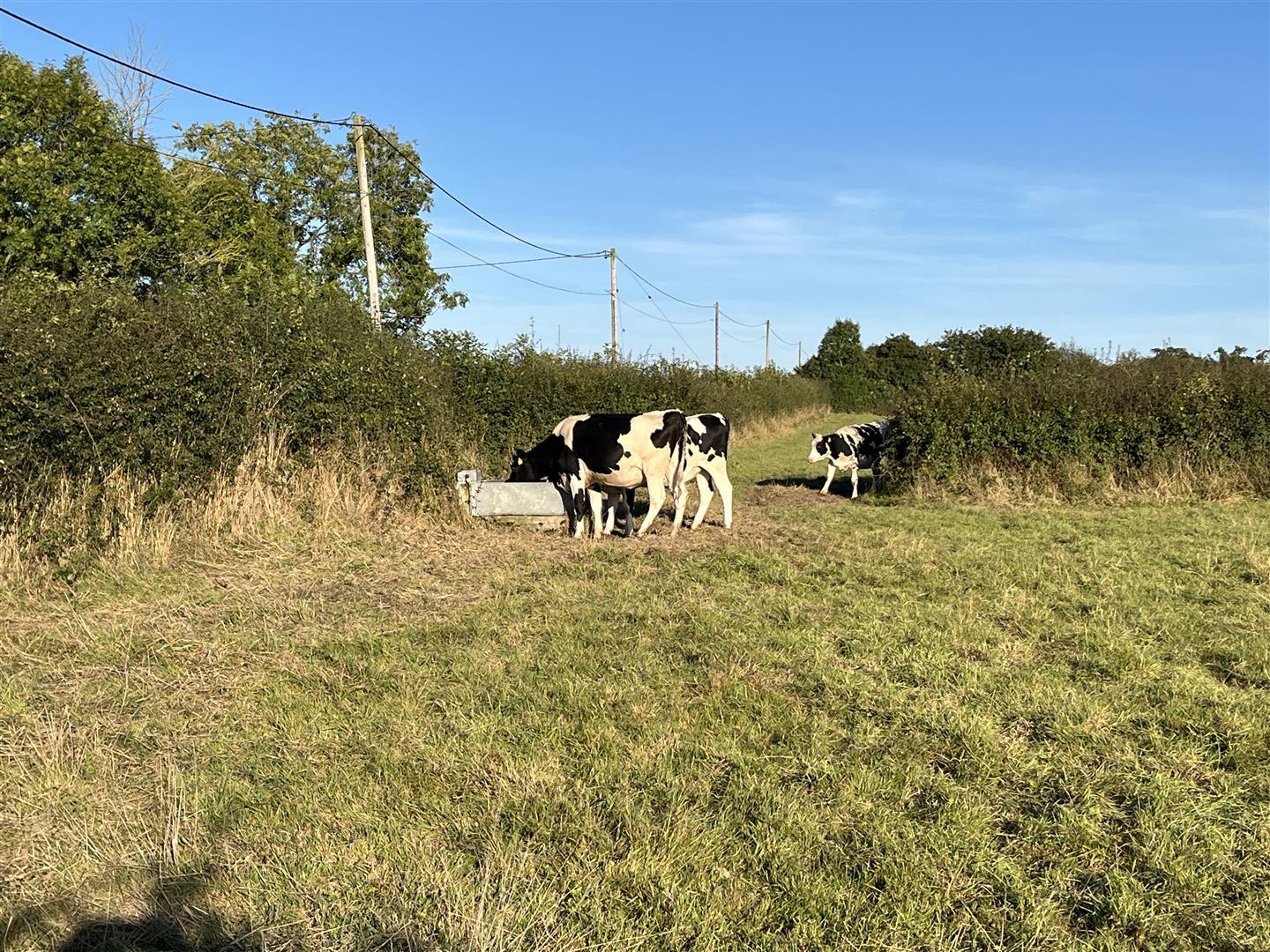 Property Image 0f0eeeec-daf8-4f9c-aefd-a7012d2dad5d