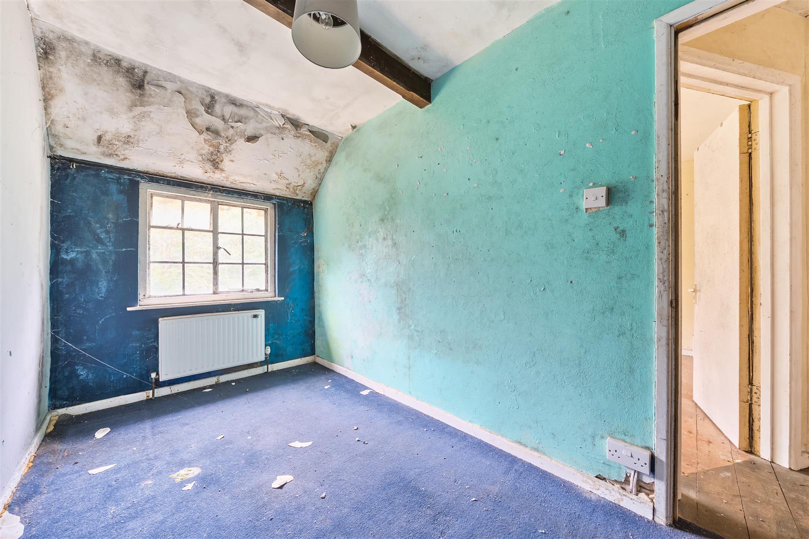 Property Image 0f1ff025-d9bc-439f-b89e-a6caa7850285