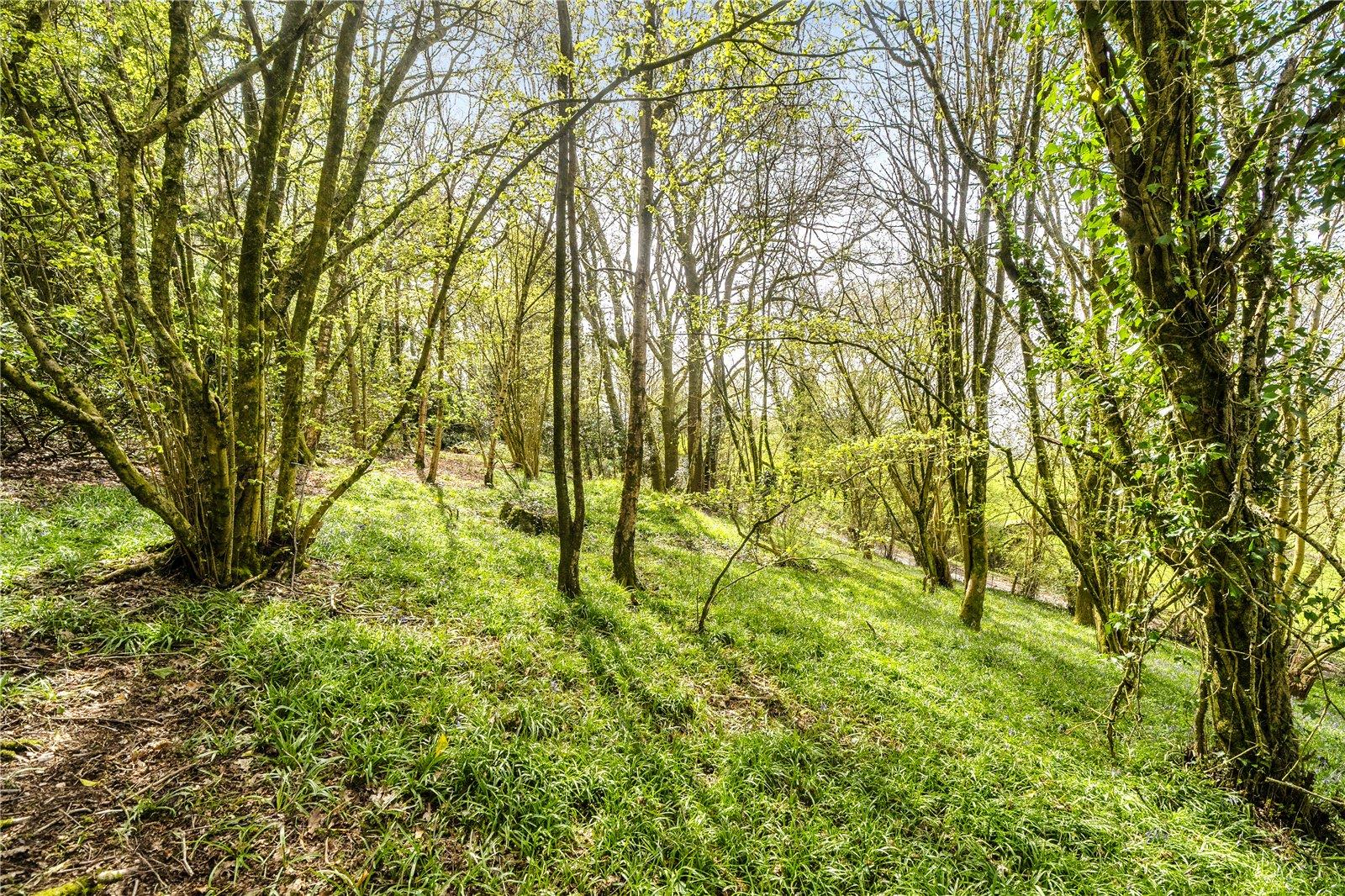 Property Image 0f393a05-9413-4061-b828-6de0f5d8c3da
