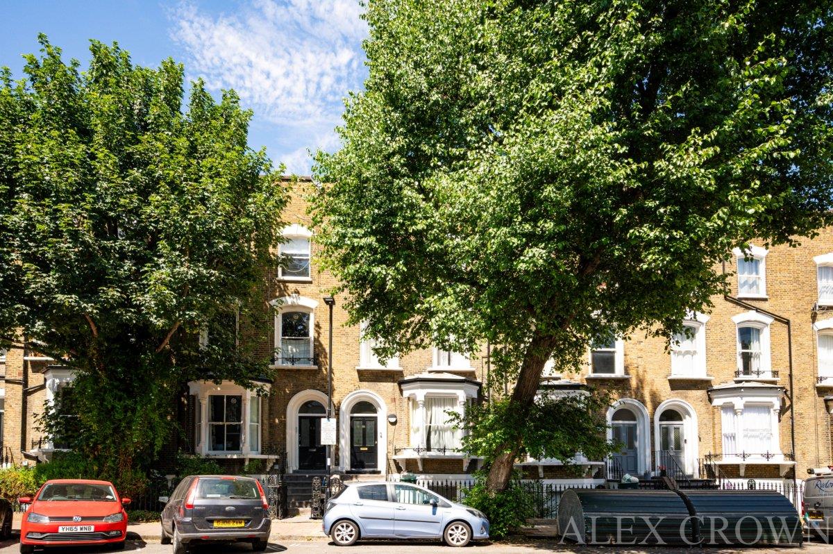 Image 15