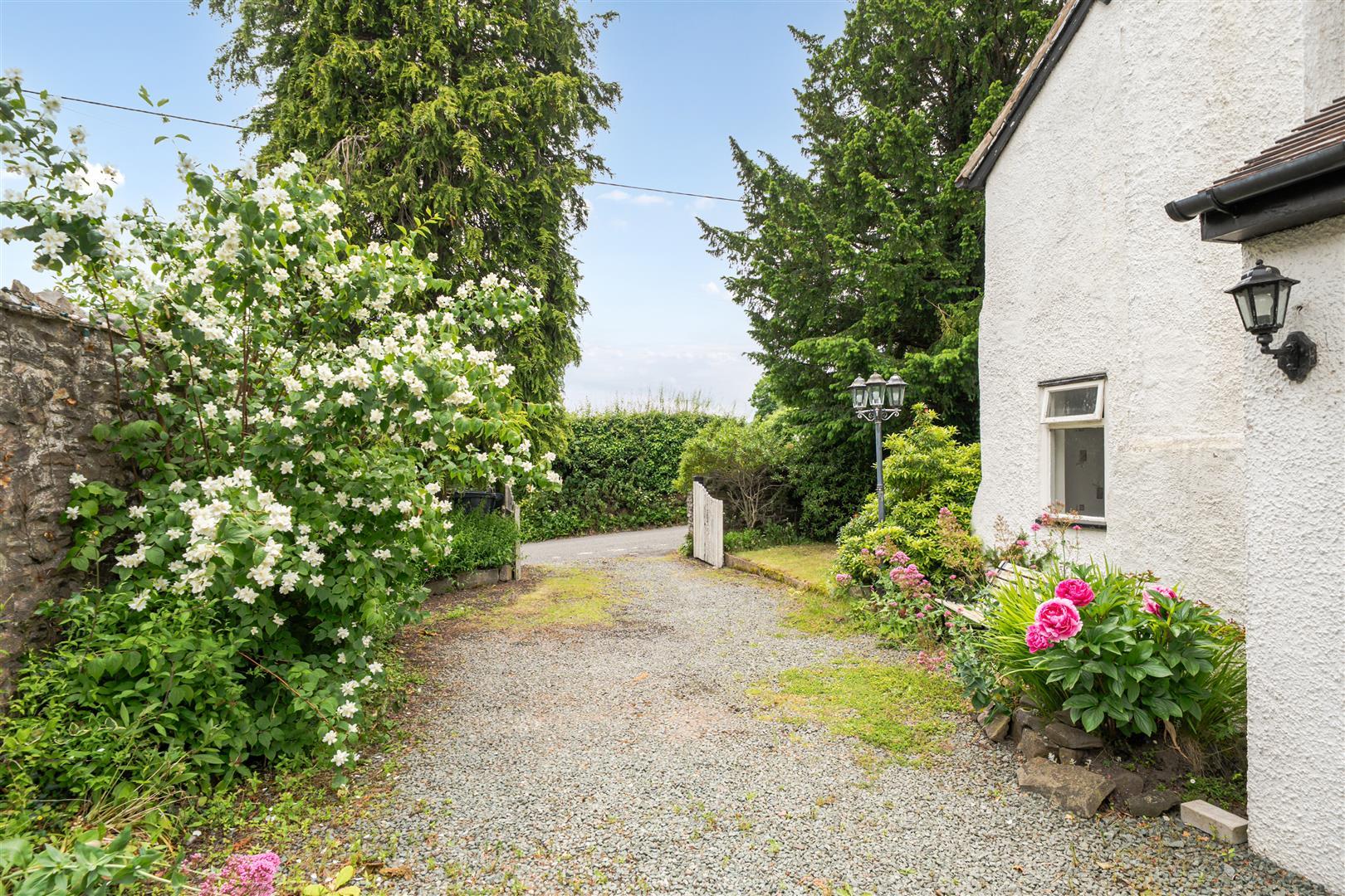 Property Image 0f46949b-73bd-4d62-a3af-6de9430a7bca