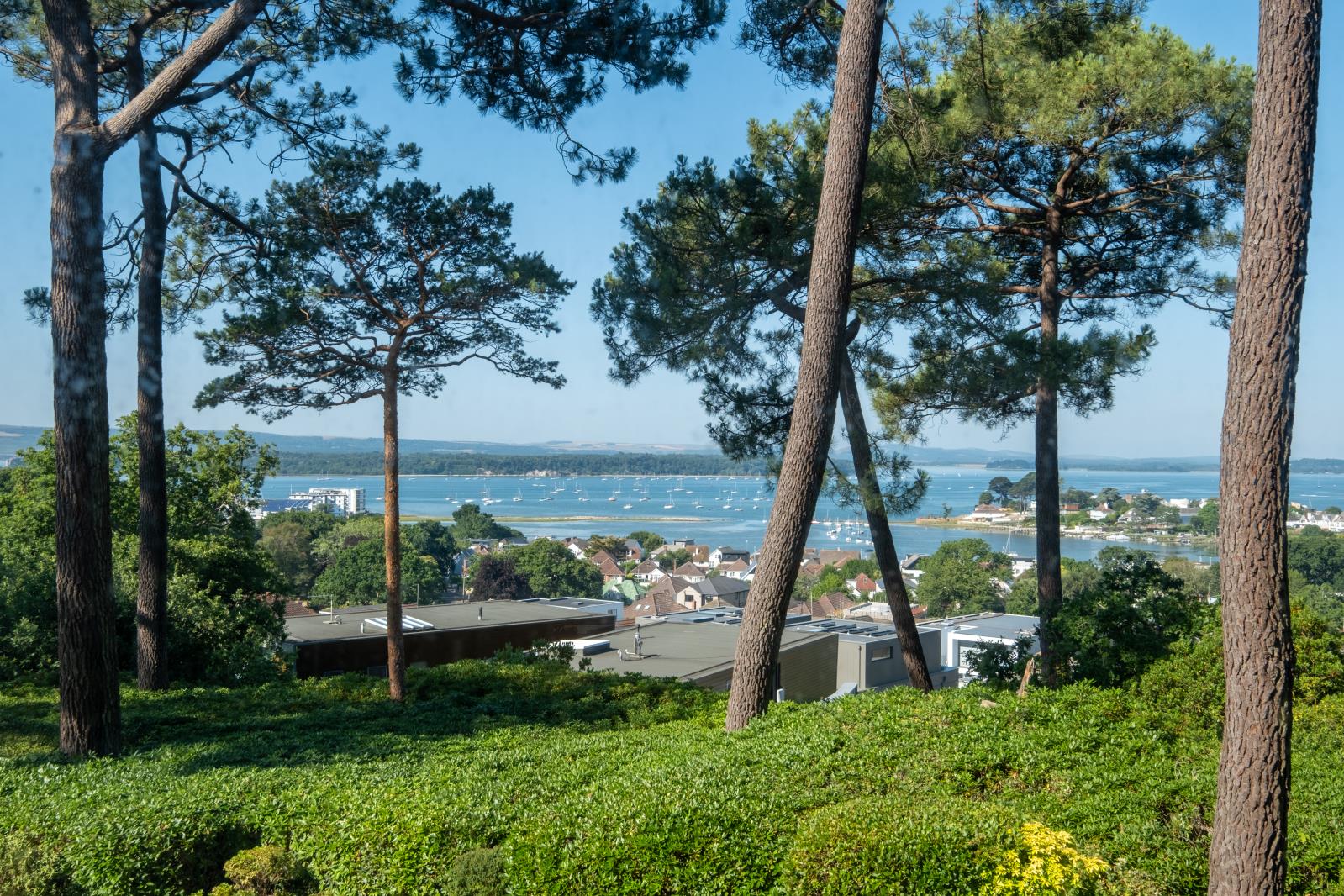 Property Image 0f4e3786-0ddd-4156-8d27-ae67c2148dbc