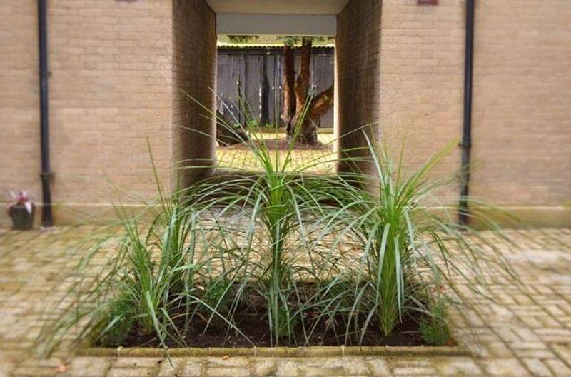 Property Image 0f51f8b6-0e02-42d8-ac44-90ad9e1a7bcd