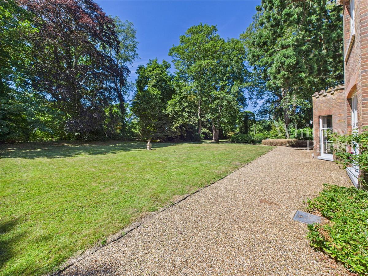 Property Image 0f583f38-3b4c-4971-a7c5-81fc825d4b91