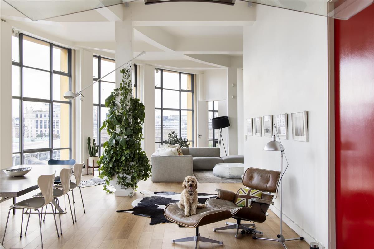 Property Image 0f5a3546-7b32-47fb-9e59-f918e4631d83