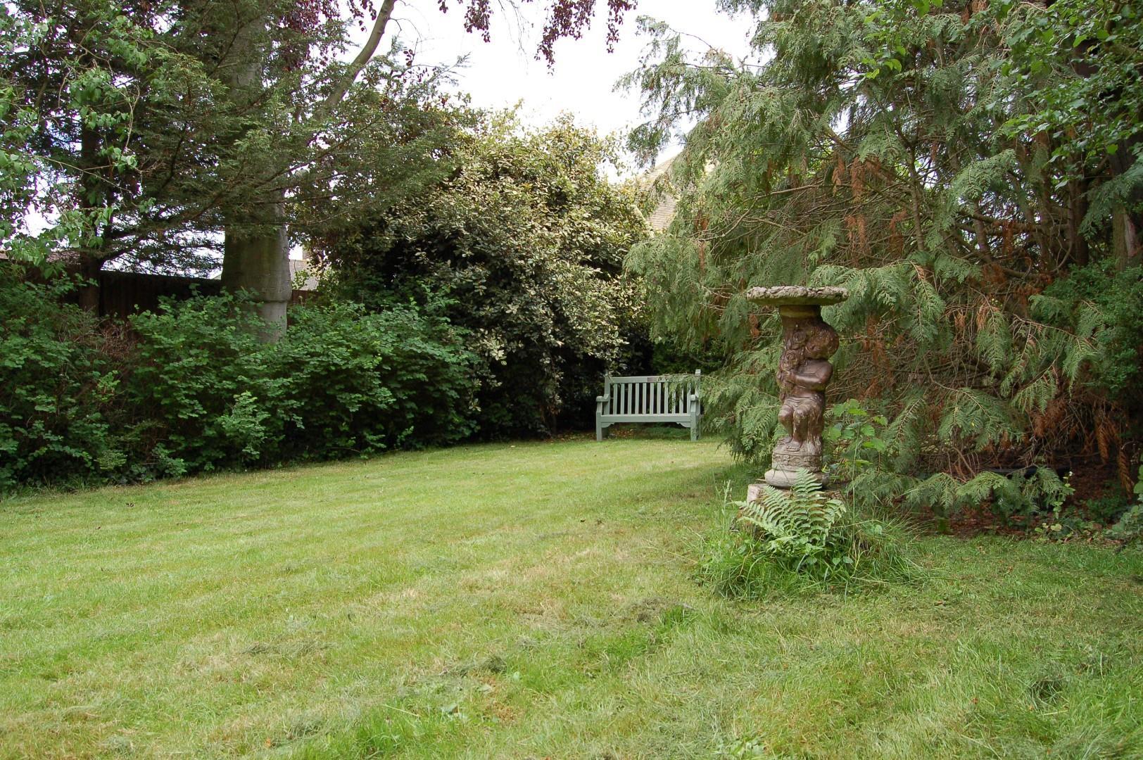 Image 15