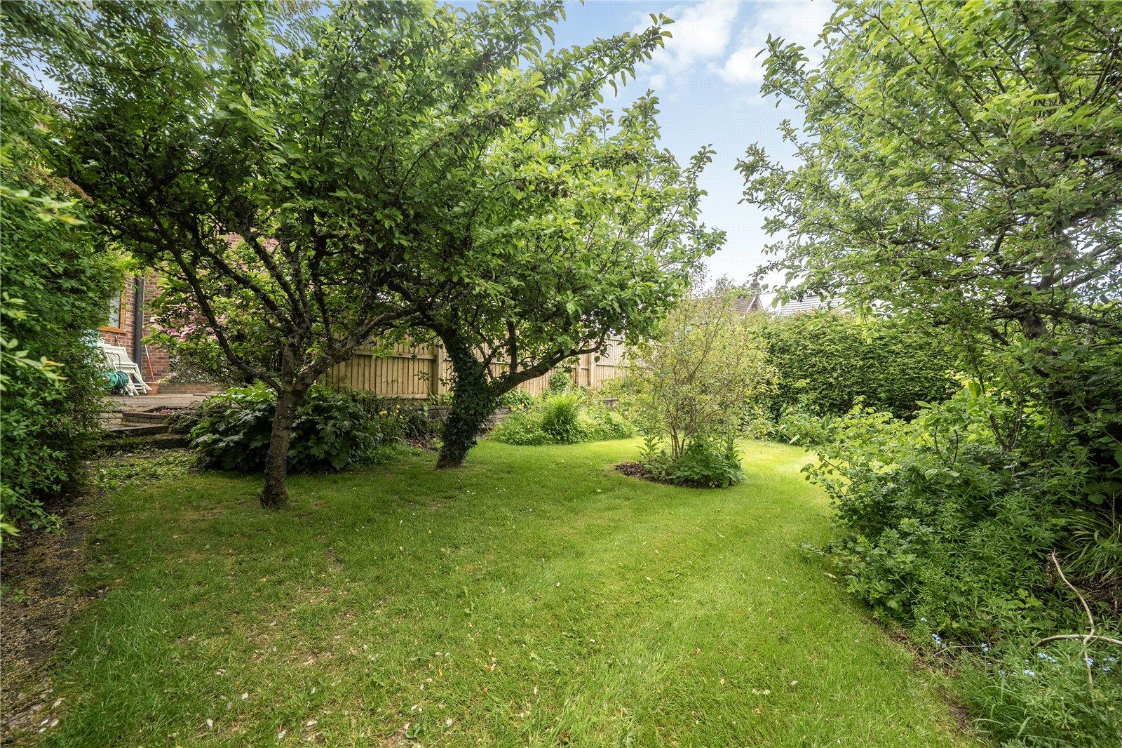 Property Image 0f889935-1029-4e16-ad25-b9254ca79dec