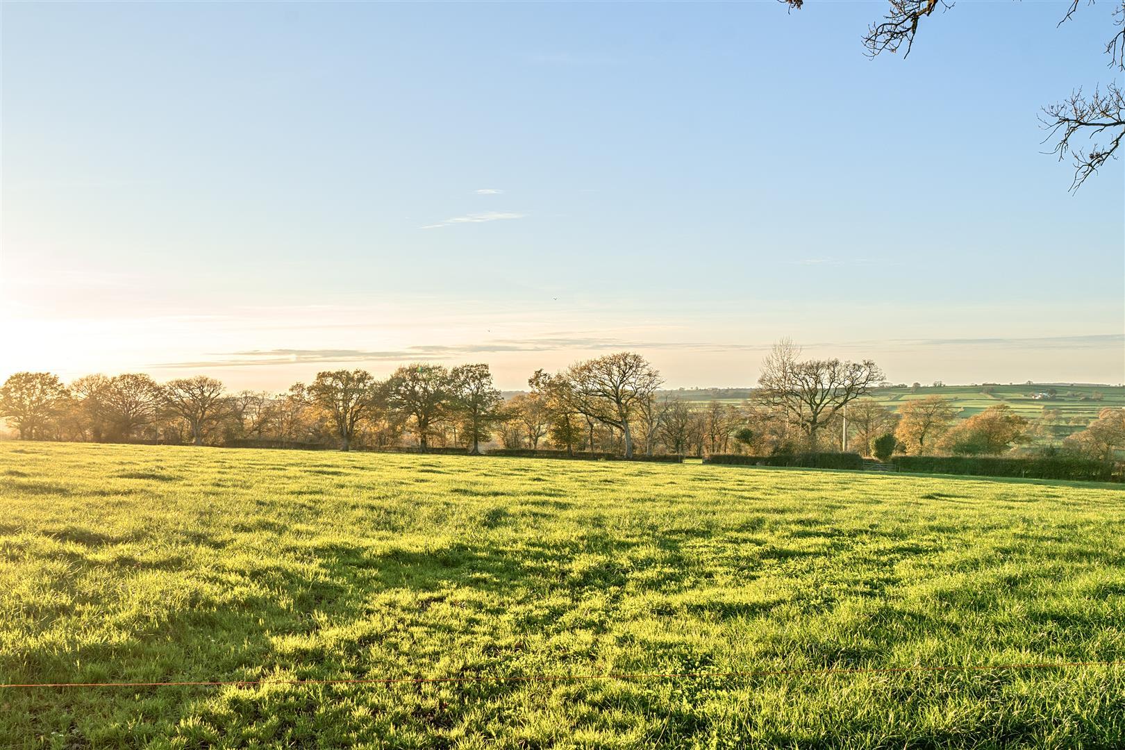 Property Image 0f89e6dd-7ddb-49ff-a696-8ca0afbe64fd