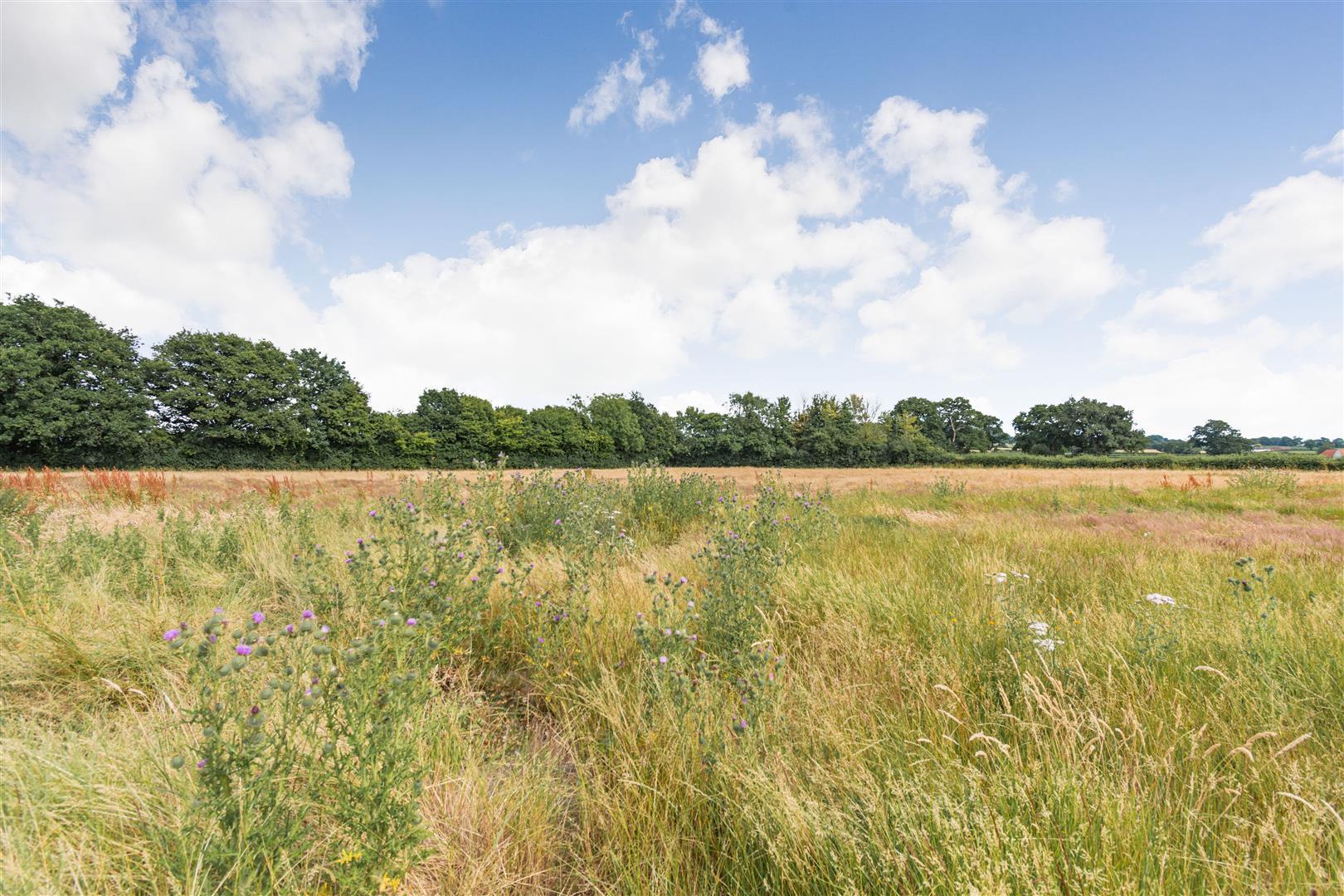 Property Image 1003da1d-9199-42e0-bffb-c5c597303224