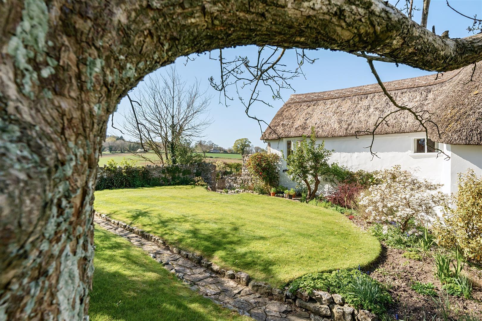 Property Image 101f4099-c8c1-469f-b534-7344f6dc661b