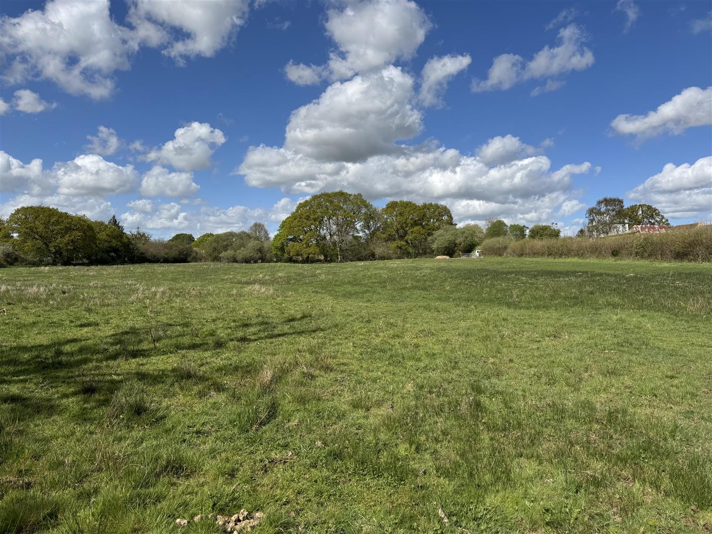 Property Image 10329aad-ef49-4396-bf8b-fc0ab0028acc