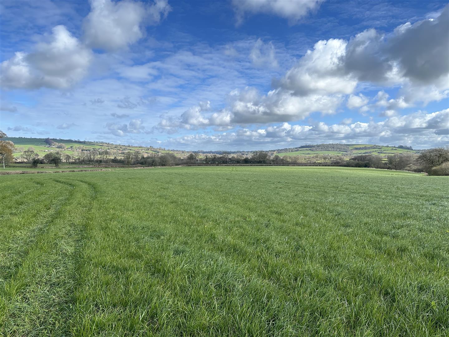 Property Image 108c705a-305c-4344-81e2-89cf1fb4d9b8