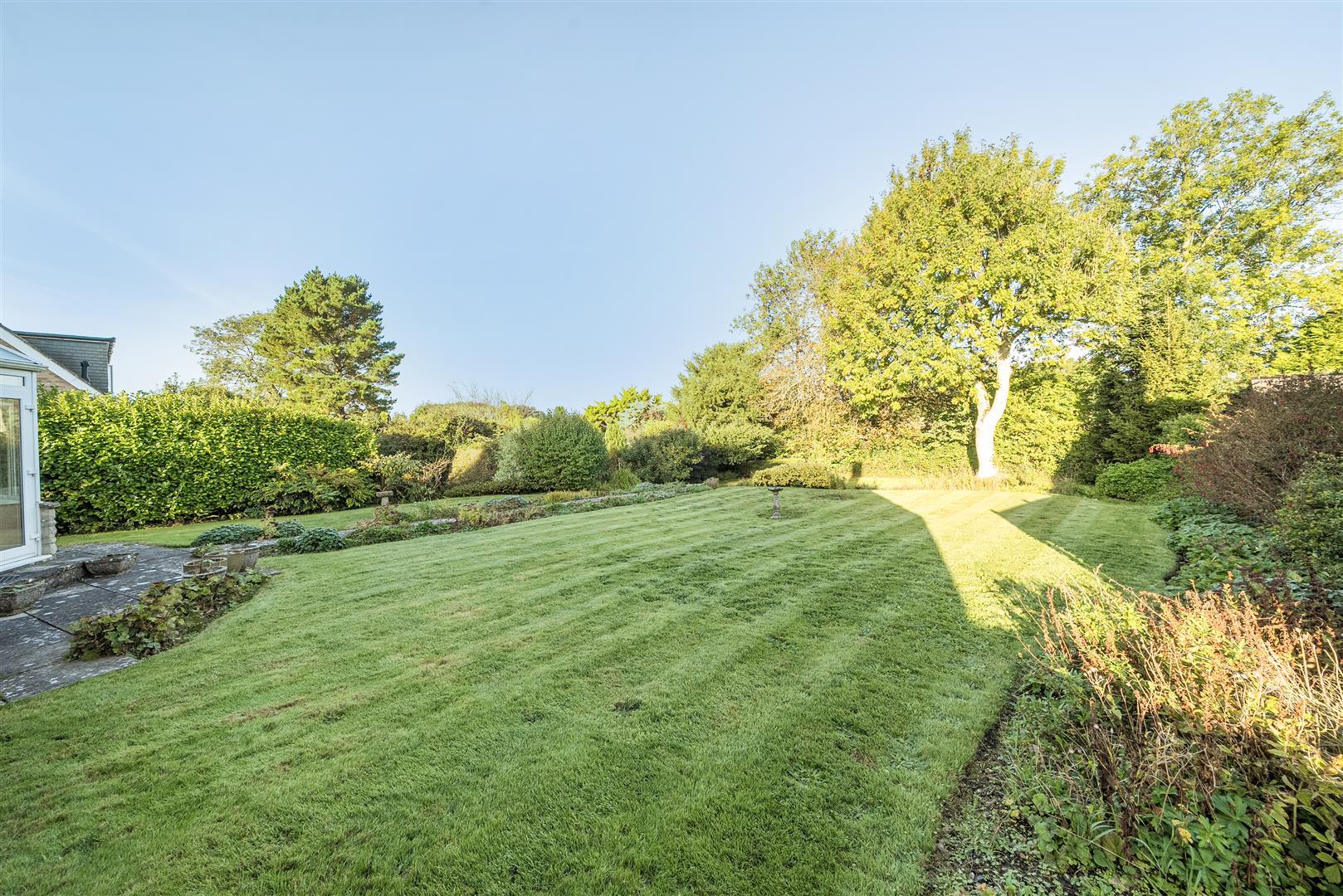 Property Image 109b4963-04cf-4112-bf74-0b911c61879c