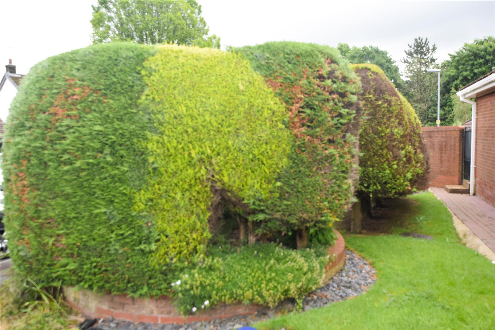 Property Image 11037f2a-27fa-4dfc-949b-fd9f2e3c43bf