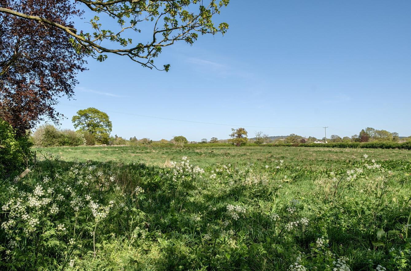 Property Image 1105ffce-b6d9-443d-9bc0-8413837a4358