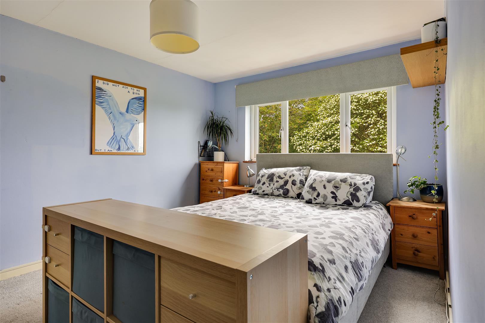 Property Image 114823a1-e211-4b3f-85ec-091e69d59b49