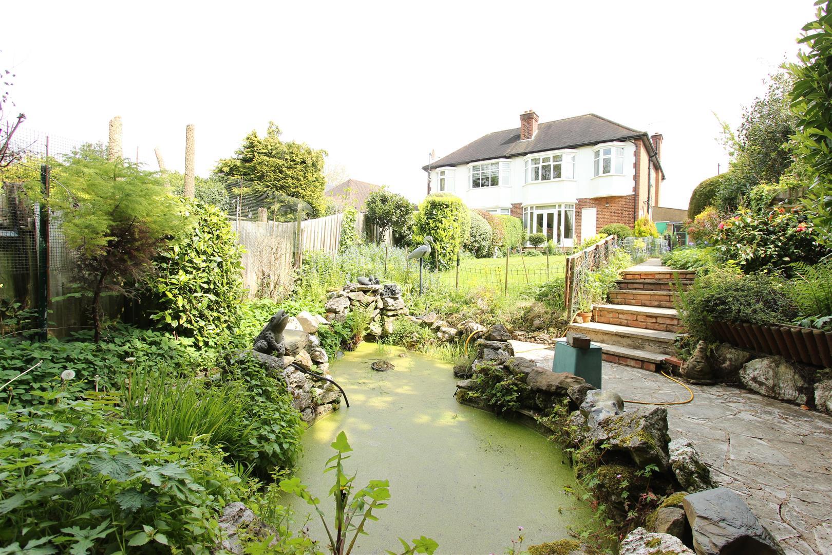 Image 22