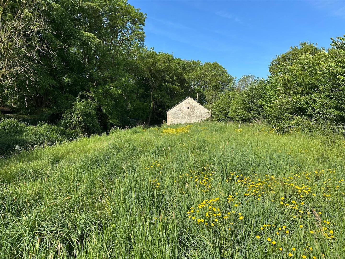 Property Image 11709f96-f1e3-406e-905b-901d60b72c34