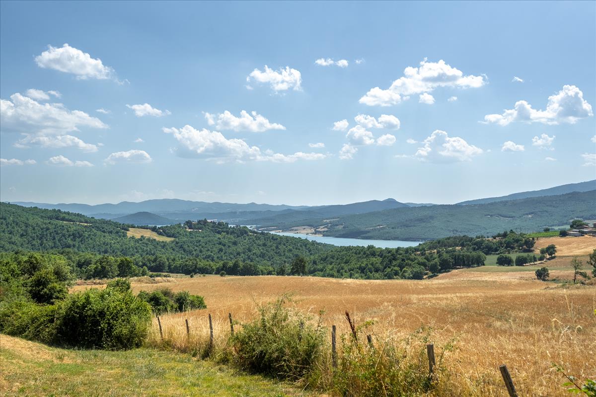 Property Image 1181727b-93ba-4ec7-b6c1-9e8ac3938e15