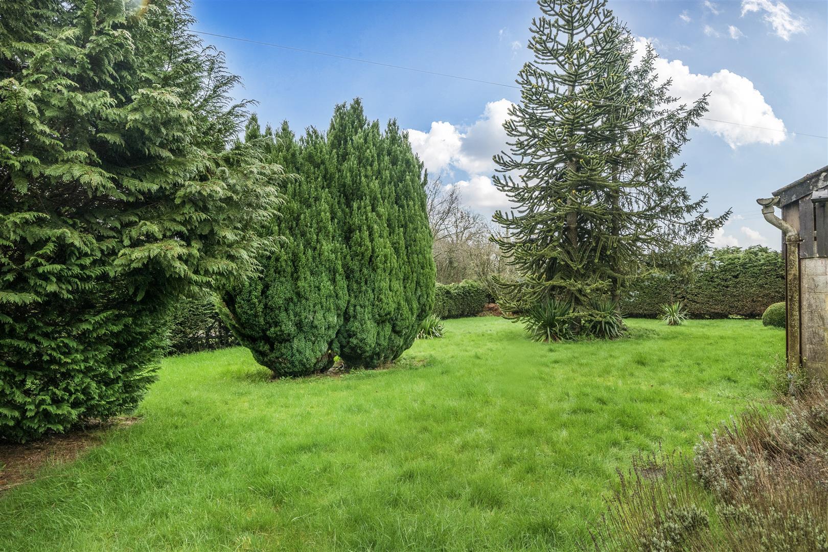 Property Image 11b5dc8f-b8bb-45b5-9087-42ca51d0ab5a