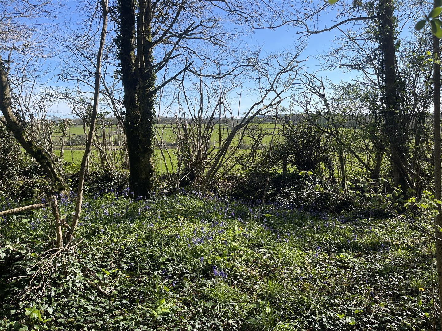 Property Image 11d5b68a-5ddb-4e36-9700-41f50b0e0962