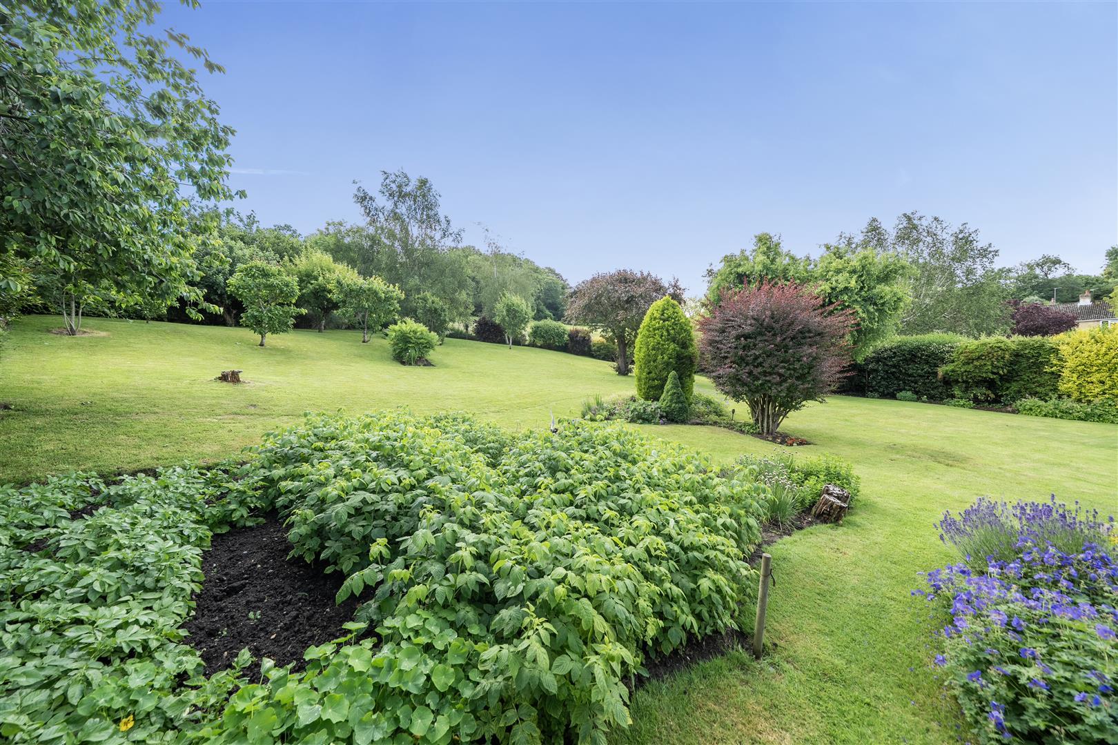 Property Image 11d9cf3f-e504-46d6-b9d8-266e073319d9