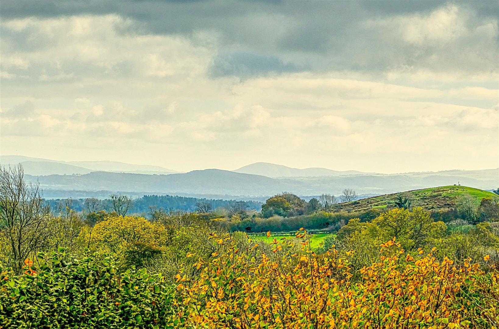 Property Image 11e72c44-face-4042-a4f2-e2a85e31768f