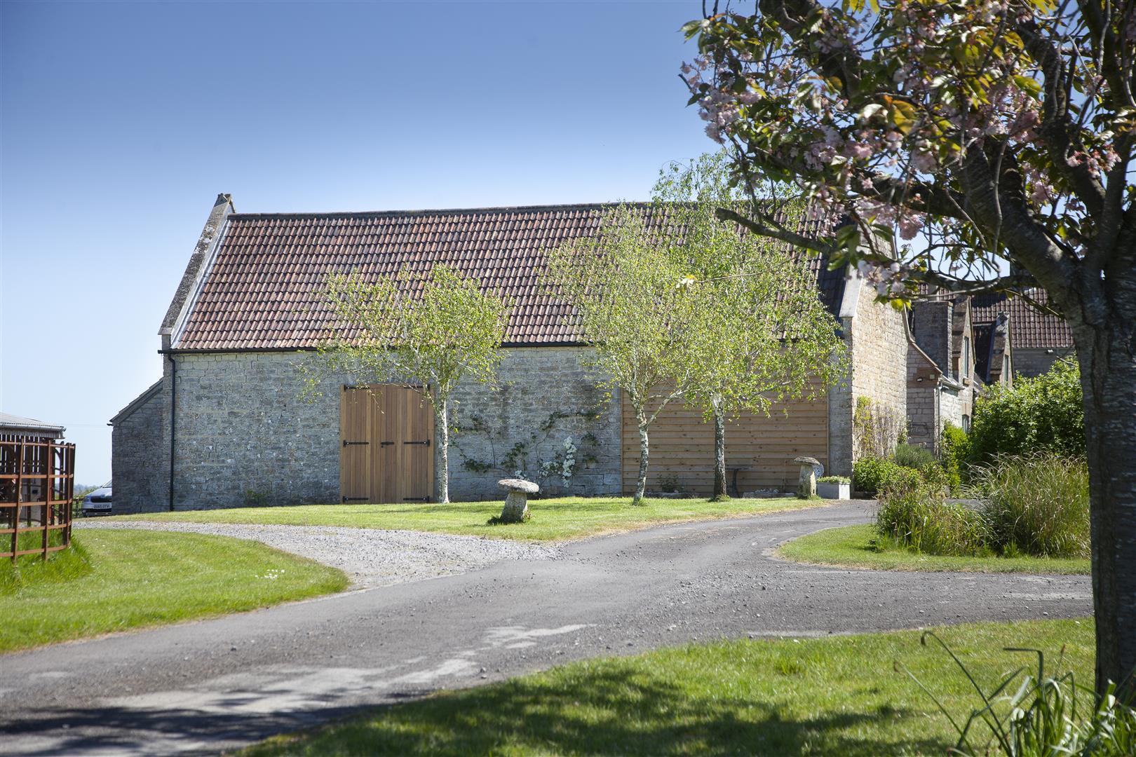 Image 15