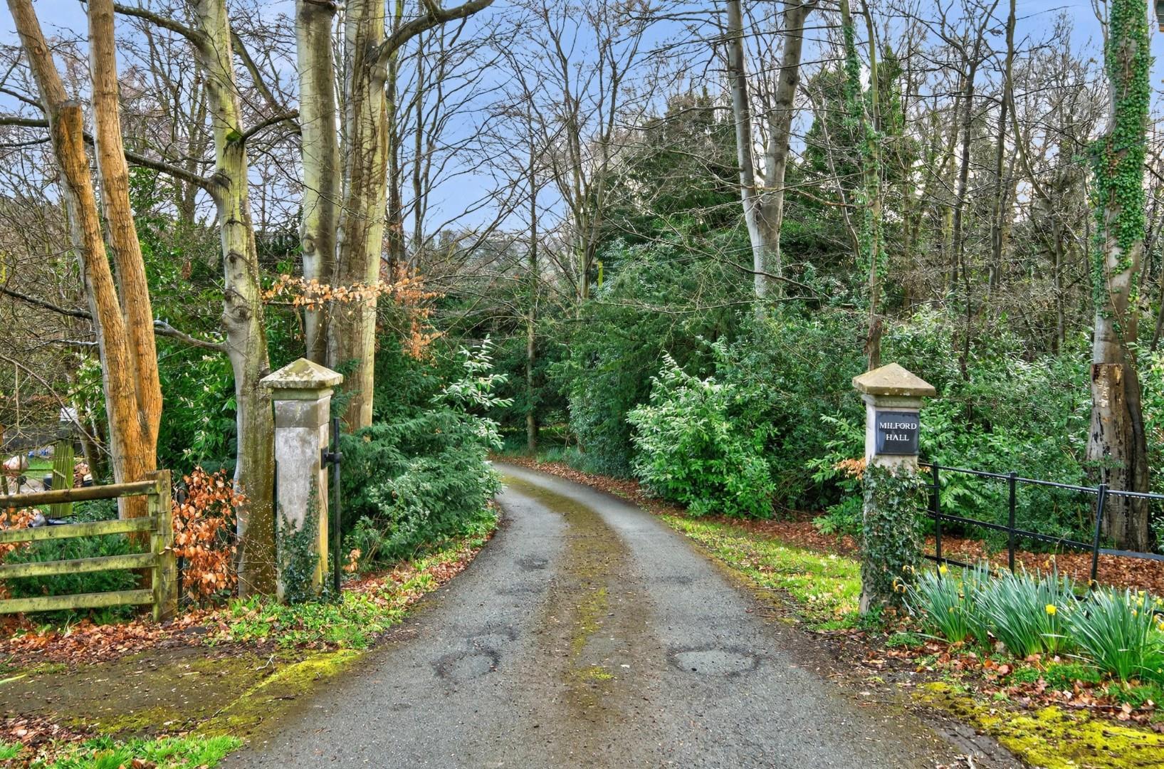 Property Image 11f358ed-ef4e-444c-bf68-64a578cf3793