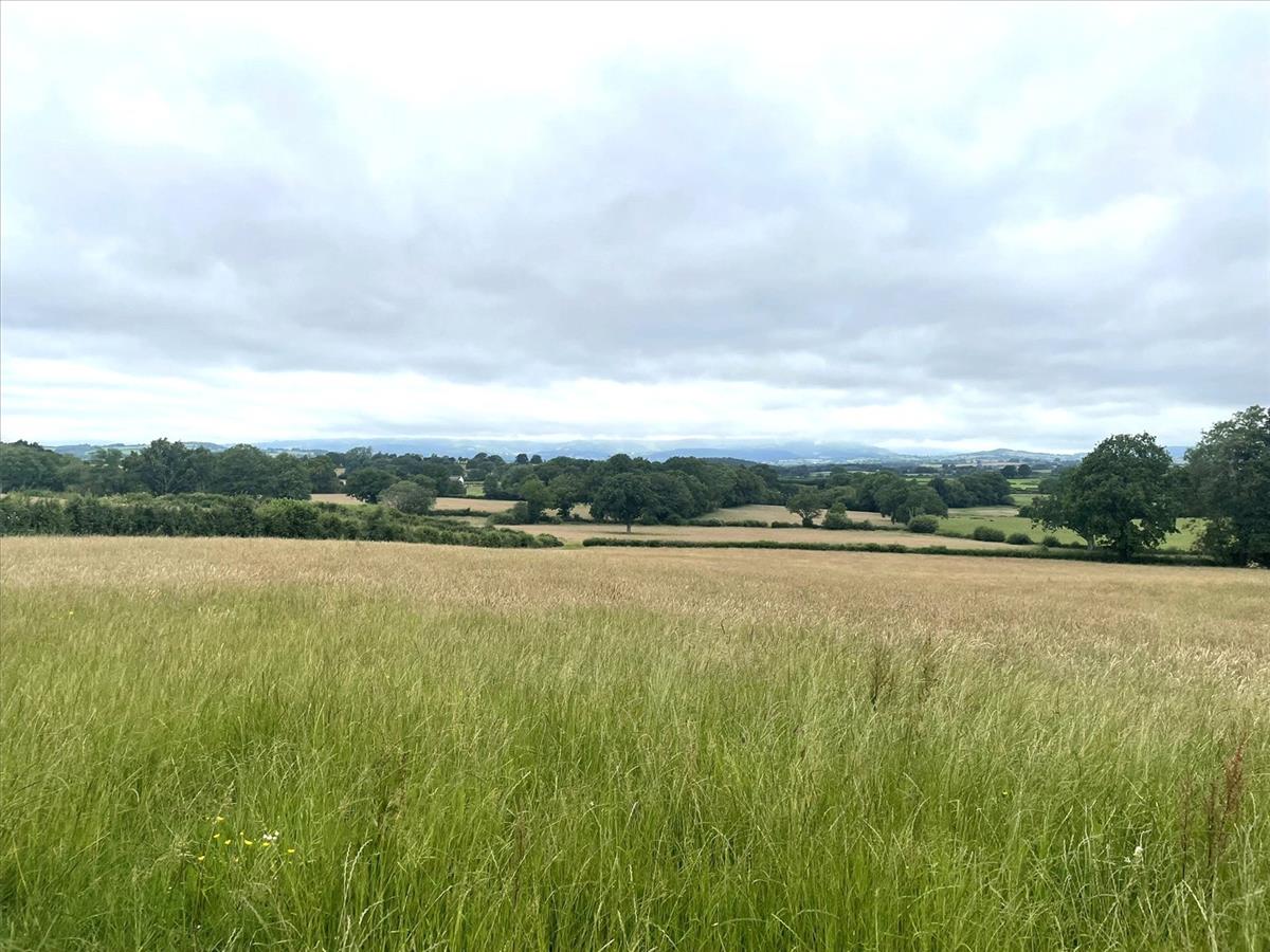 Property Image 124b81ae-c547-4dd0-9505-ce1abe46b280