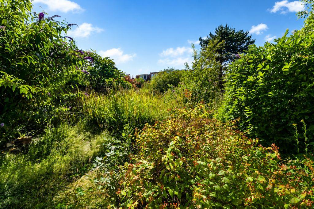 Property Image 1258d6b2-130b-46d6-aac4-037a577f31ac