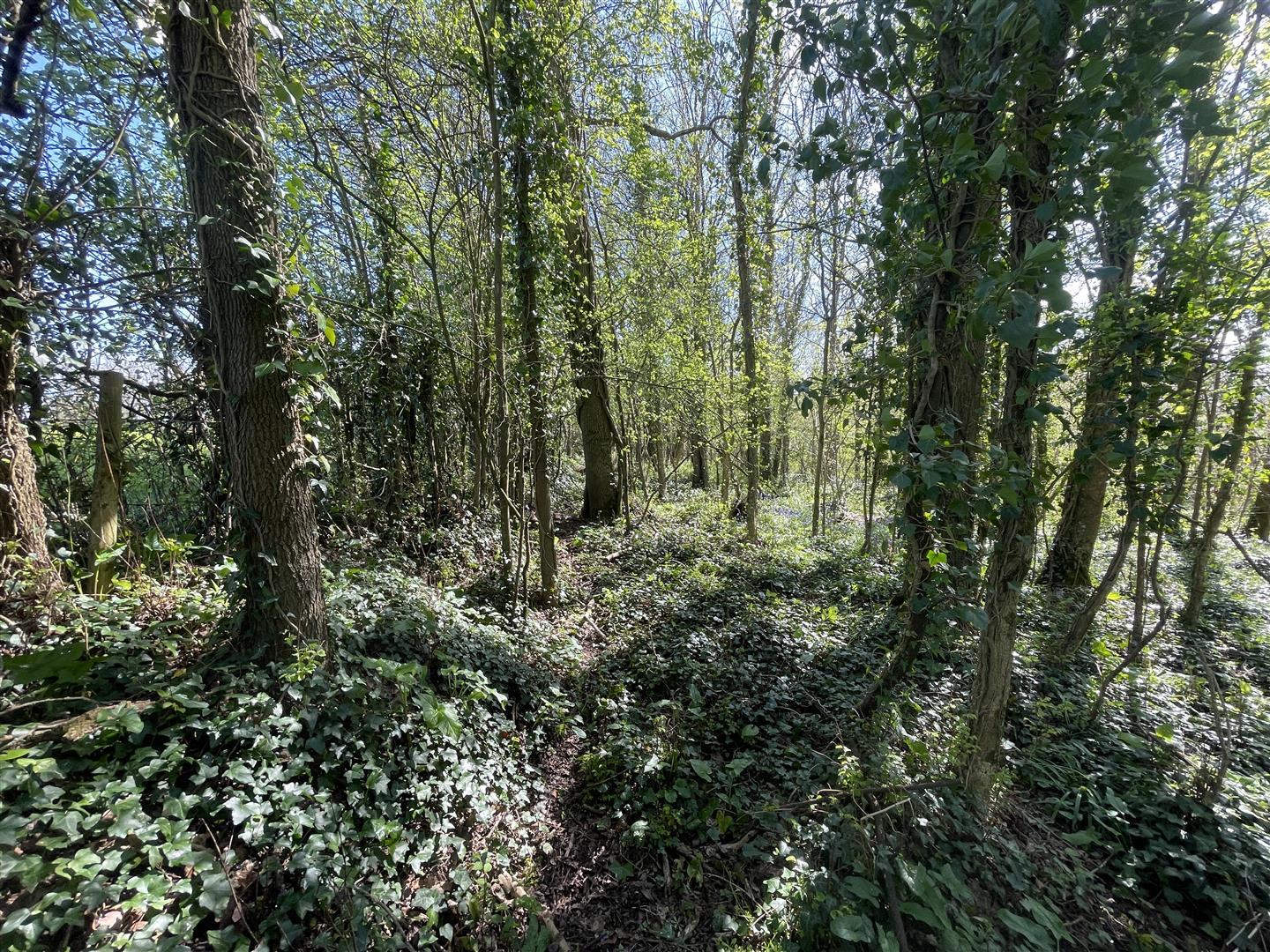 Property Image 12636fa2-761a-4901-b58d-67ae213976fb