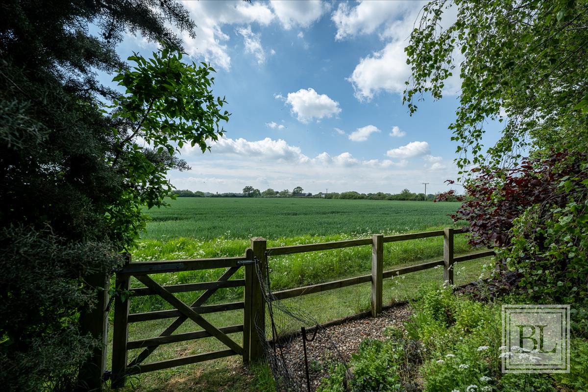 Property Image 126f1602-1d45-4251-a76c-f85eef45f7d1